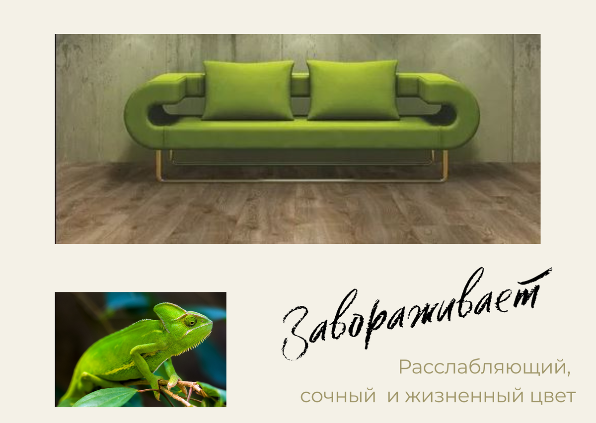 *фото для иллюстрации взяты из открытых источников