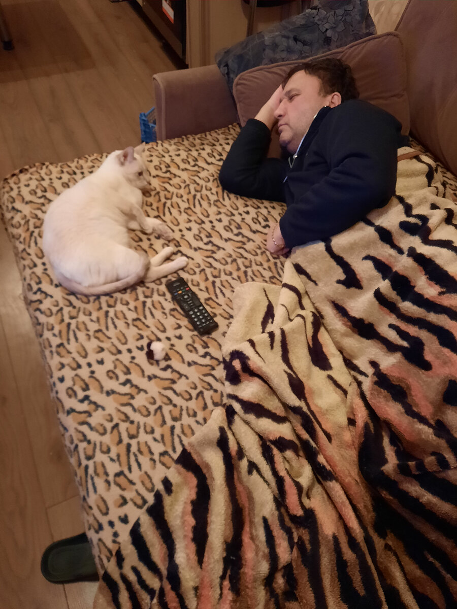 Делят диван)