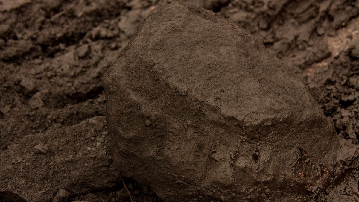    Бурый угольCC BY 3.0 / Prissantenbär /