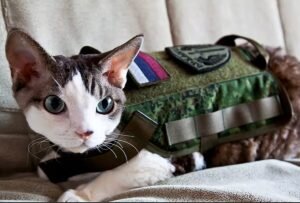    Фото: ursa-tm.ru Натали Нойманн