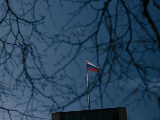     Фото: Pexels.com