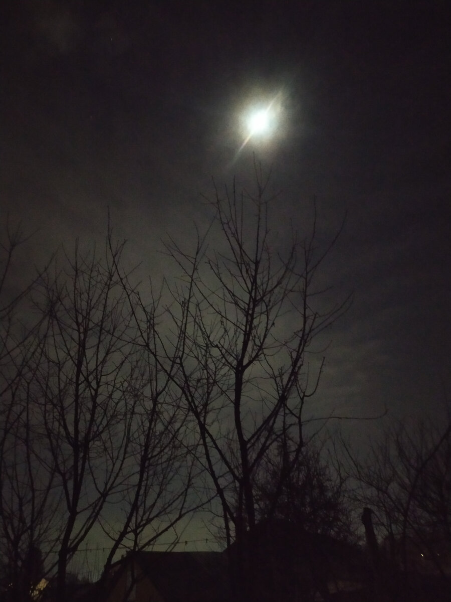 29 января 2023 года