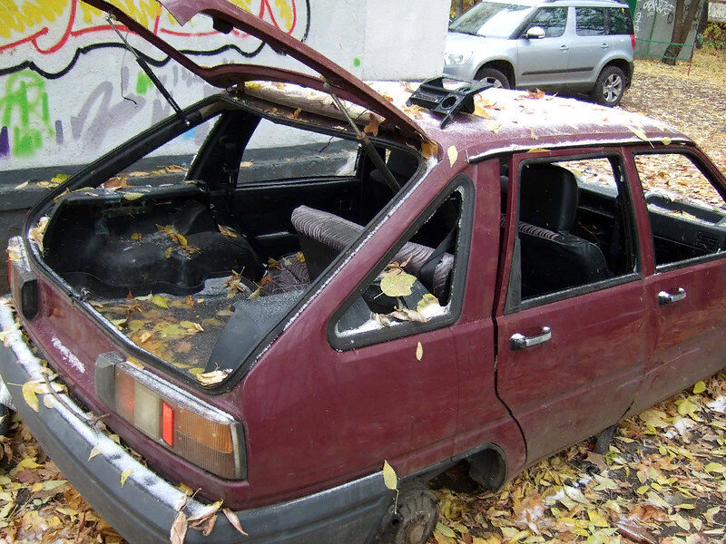 Таких вот "экземпляров" во дворах полно