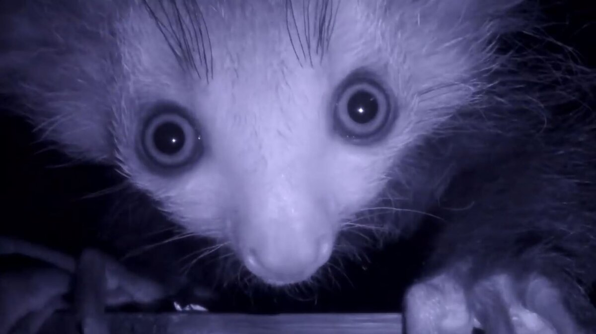 Источник: youtube.com