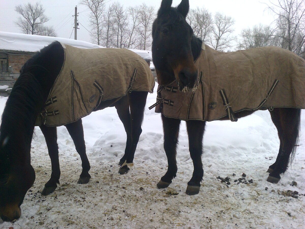 Рита и Рада. Фото автора