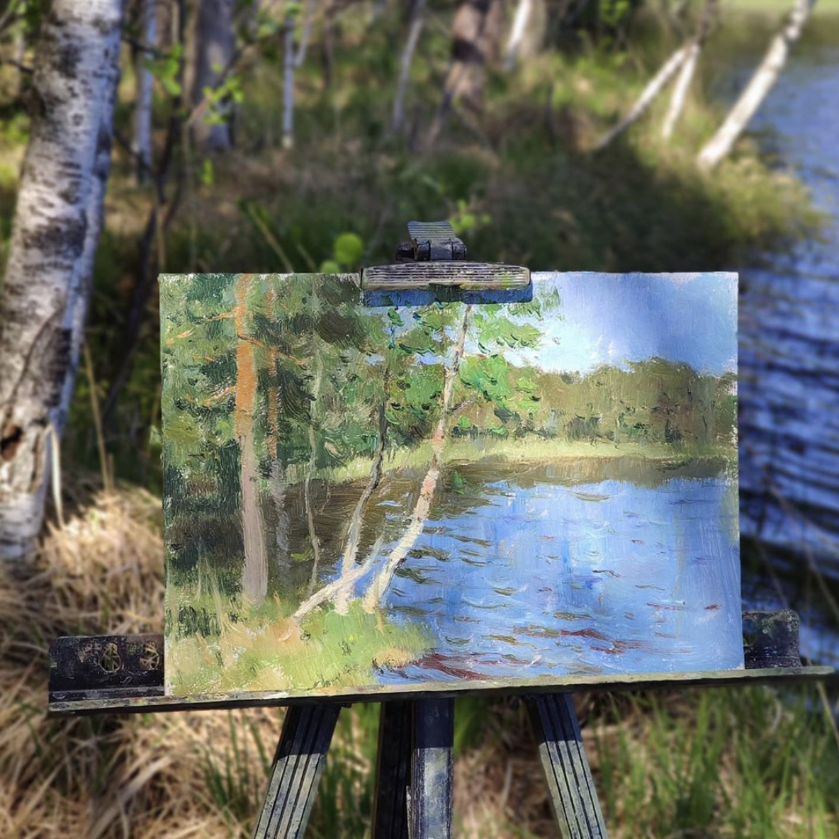 Этюд из лесного похода.