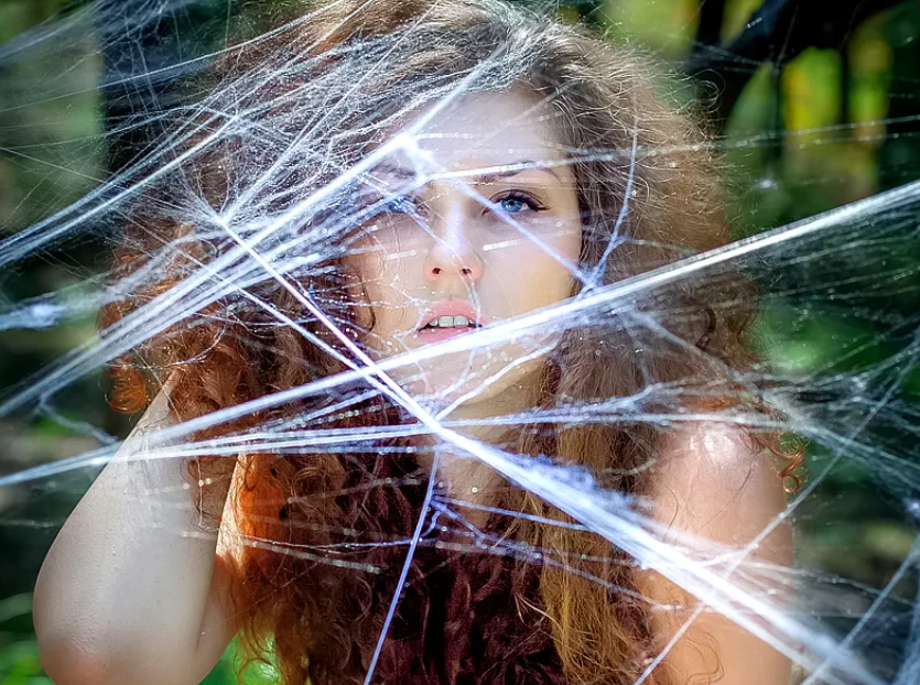 Картинка из интернет