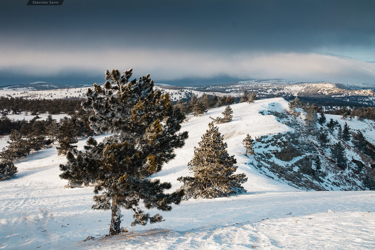В Крыму зимой бывает очень много снега!