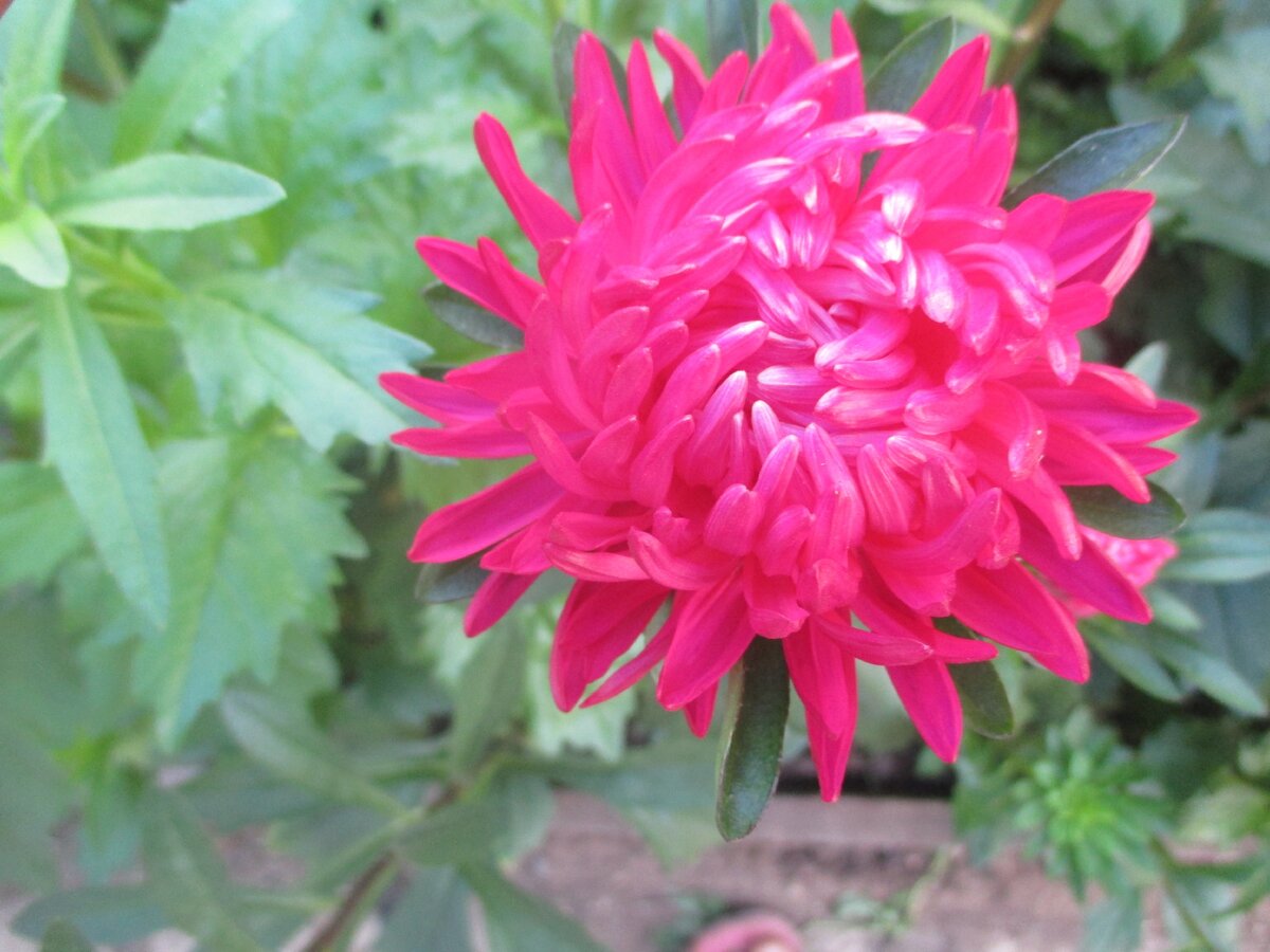 Таких у нас было много