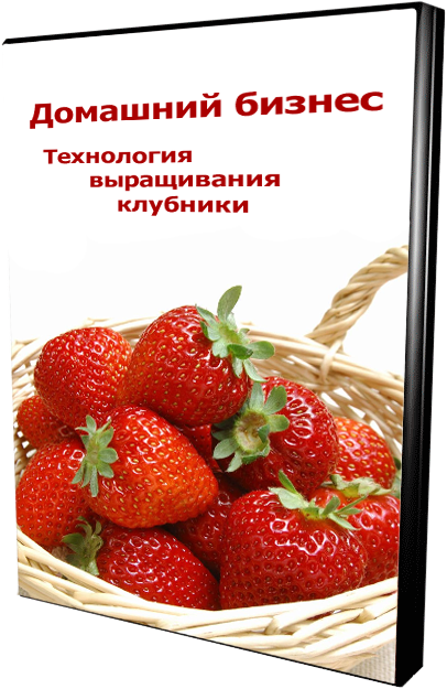 Бизнес курс : «Технология выращивания Клубники»