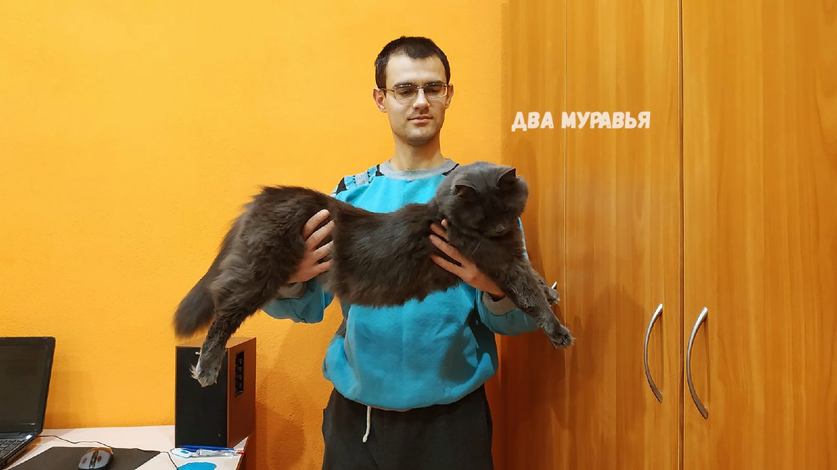 Василий прилично вырос