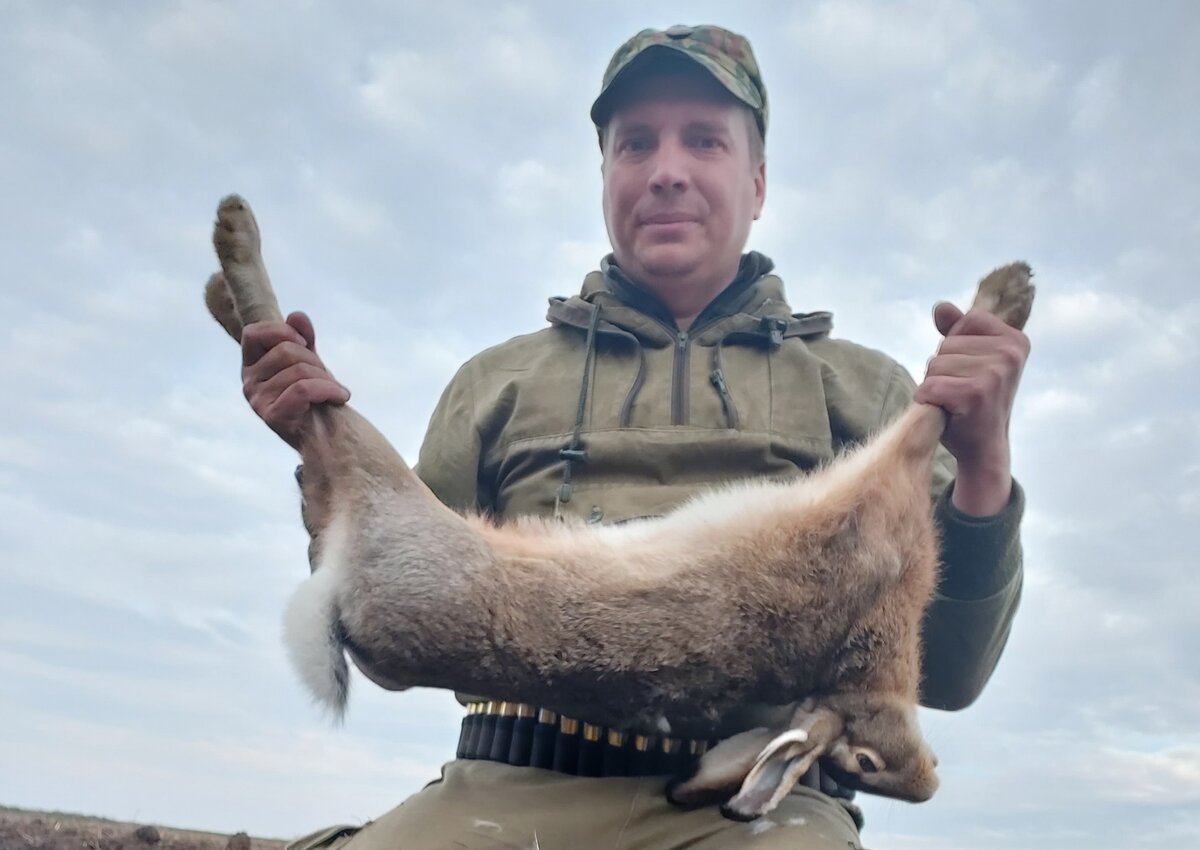 охота на зайца 2024 г