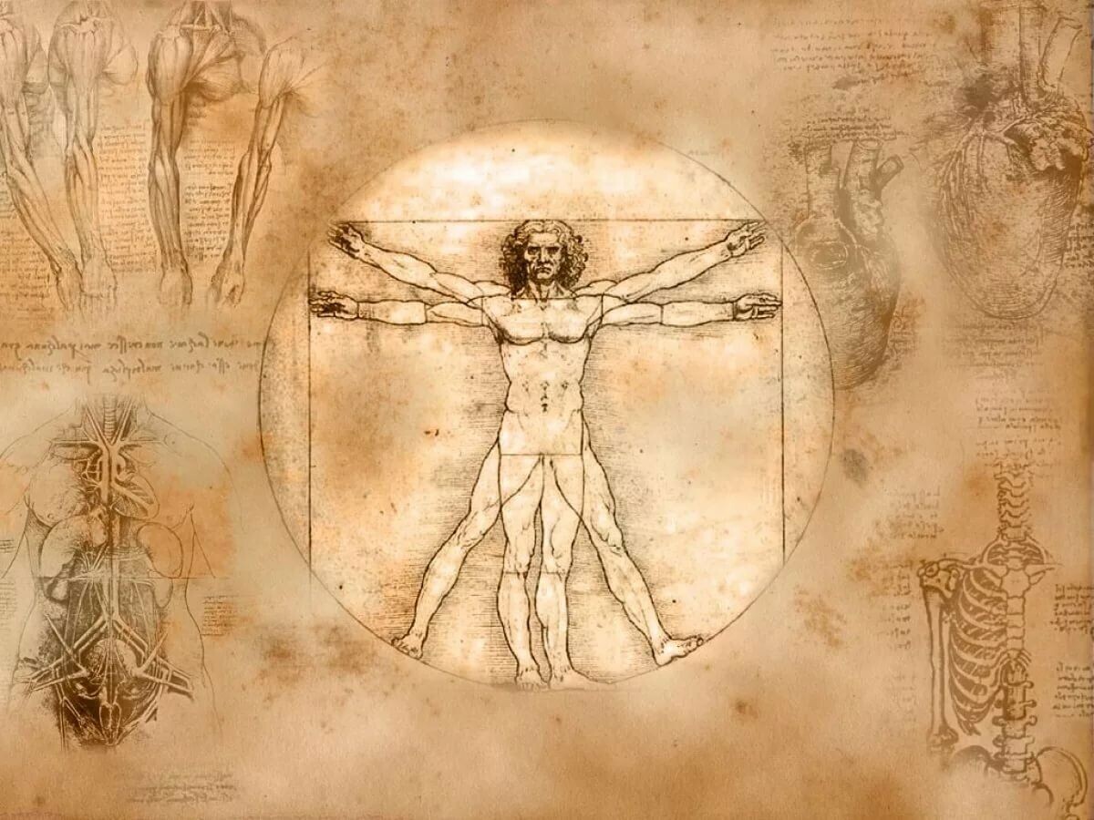 Изображения для иллюстрации, добыто из открытых источников