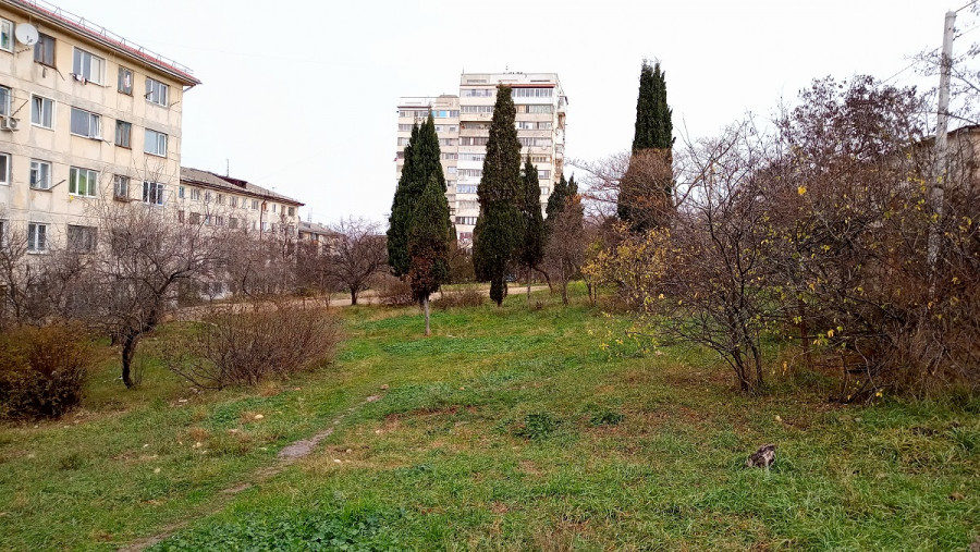 Фото: Наталья Астахова / ForPost