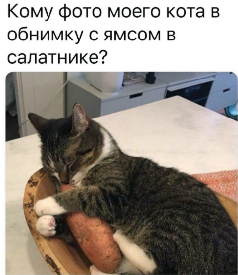 https://vk.com/jblvotnie