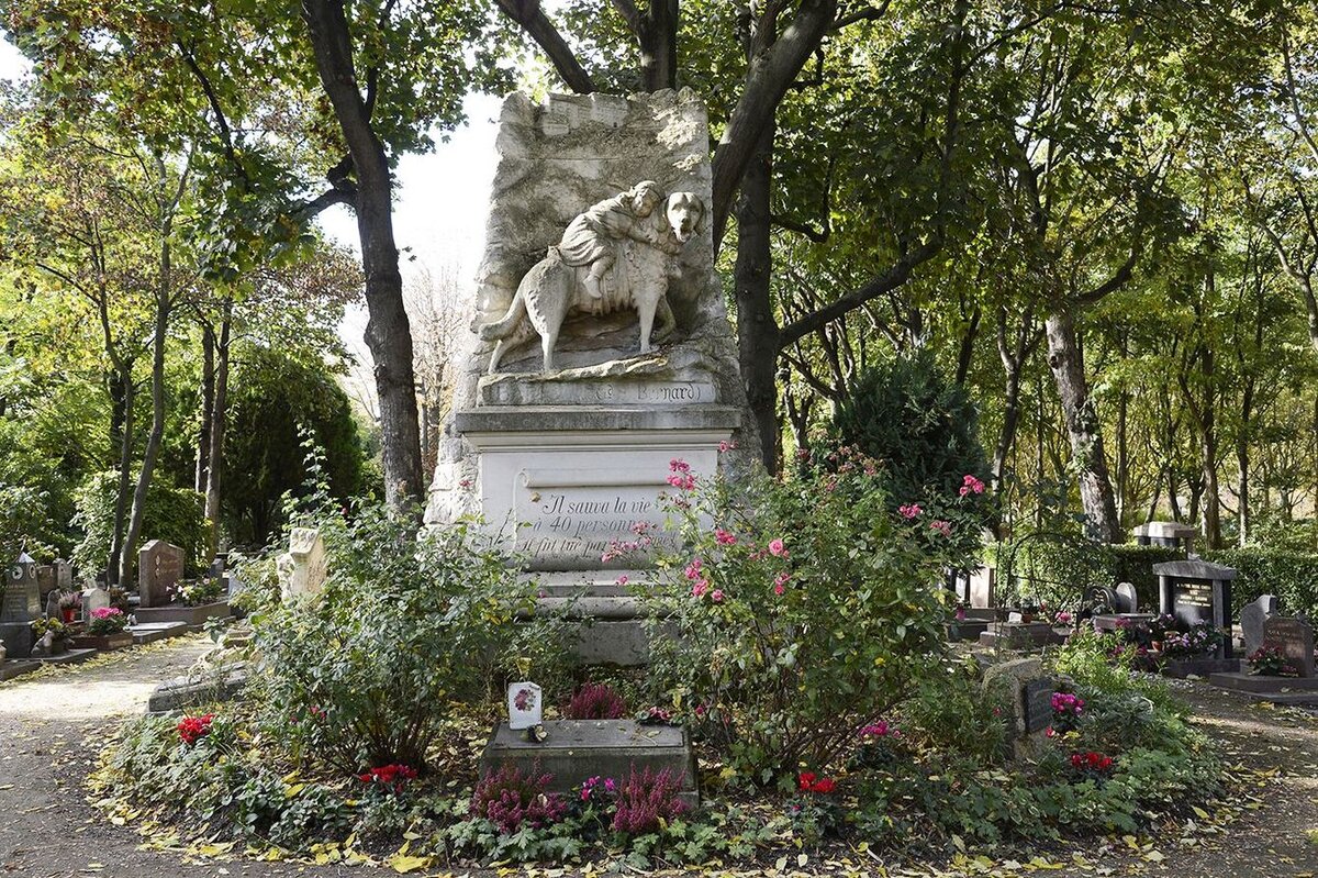 памятник сенбернару барри в париже