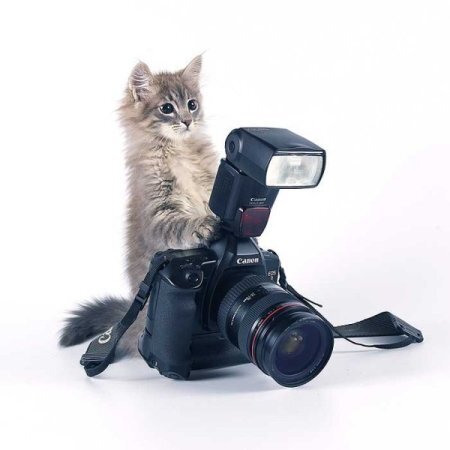 Изображение с сайта: https://soyuz-pisatelei.ru/blog/2016-03-31-31212