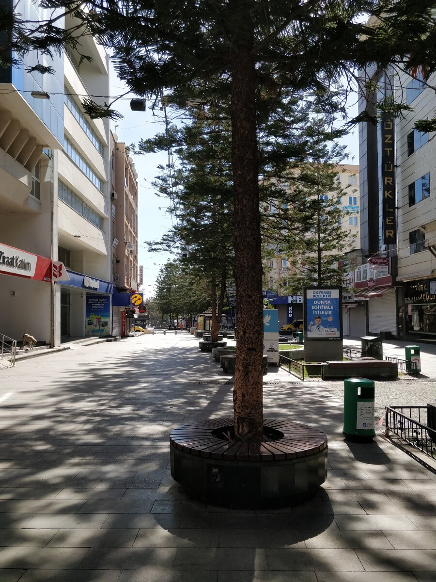 Улица Гюйлюк, суббота, полдень.