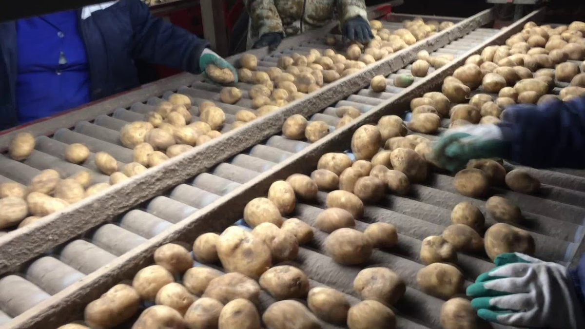 Источник https://i.ytimg.com.