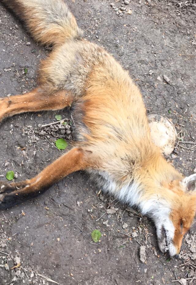 Фотография Ольги Озеранской