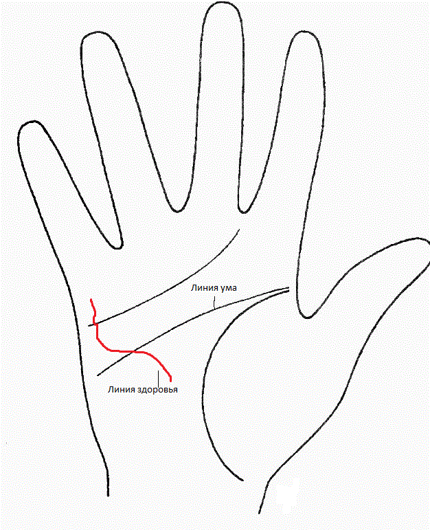 Линия здоровья и линия ума