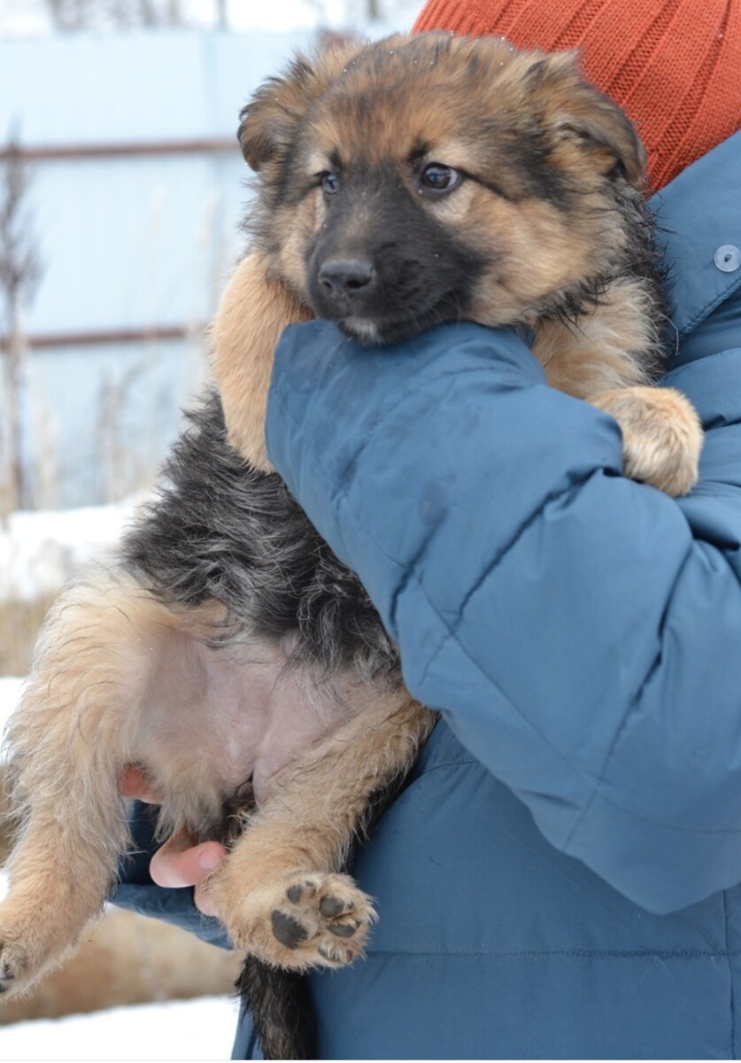 Такой нашли Тину.