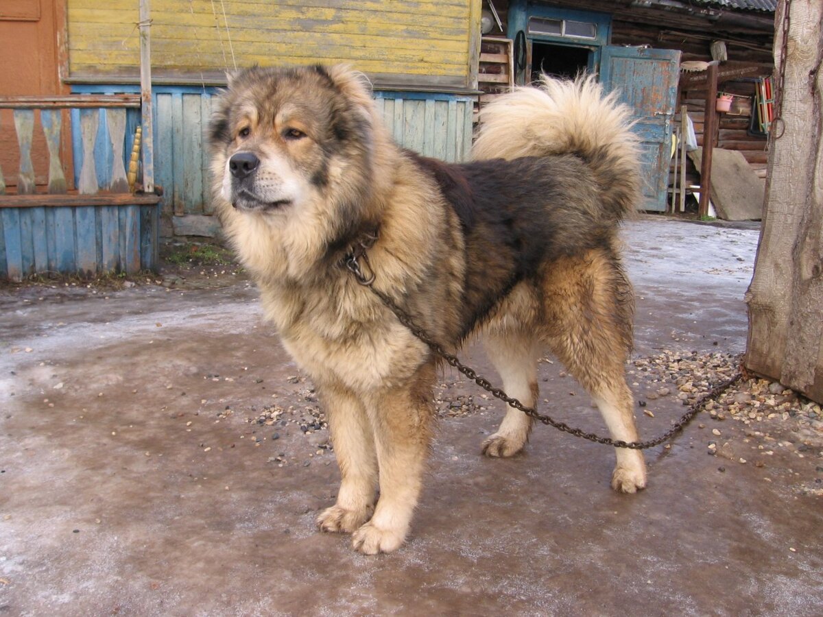 фото из свободного источника