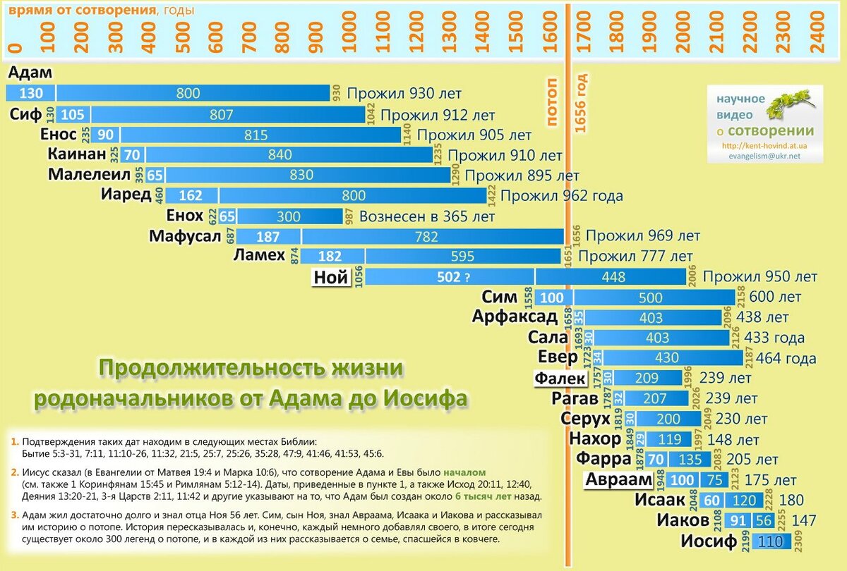 Проект количество прожитых дней