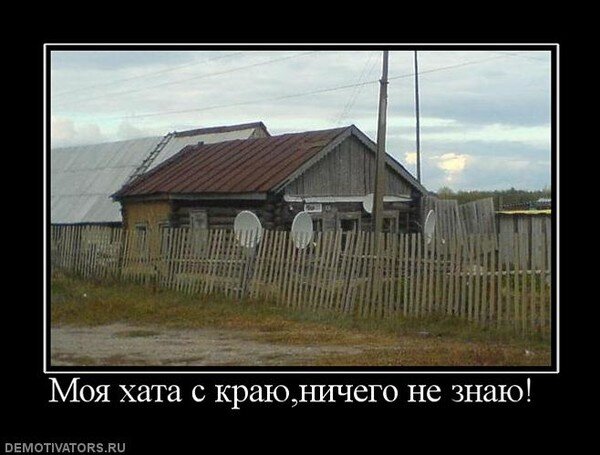 Фото из интернета 