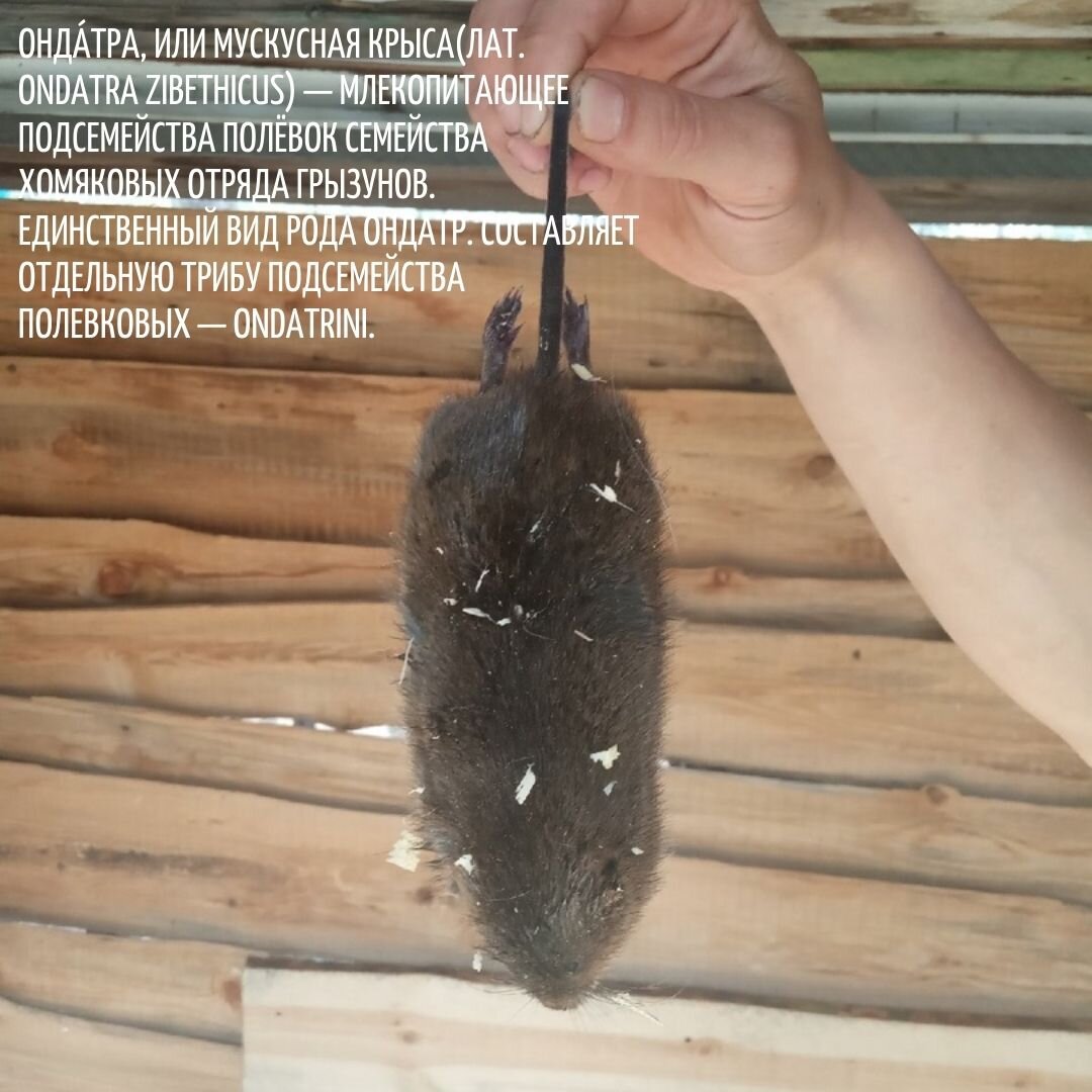 Из личного архива