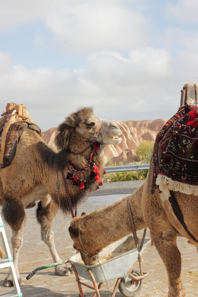 Изображение - собственность автора статьи