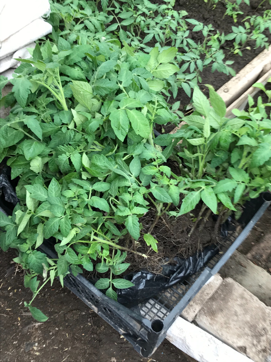 Готовимся к посадке 