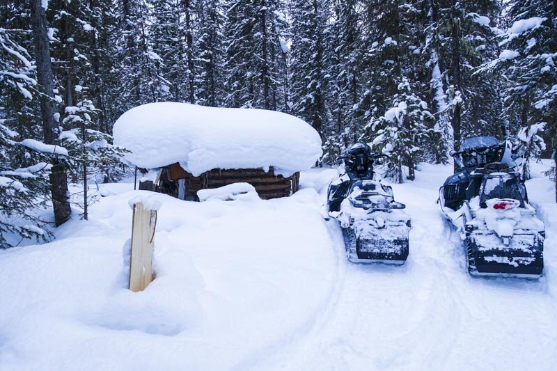 Заимка в глухой тайге
