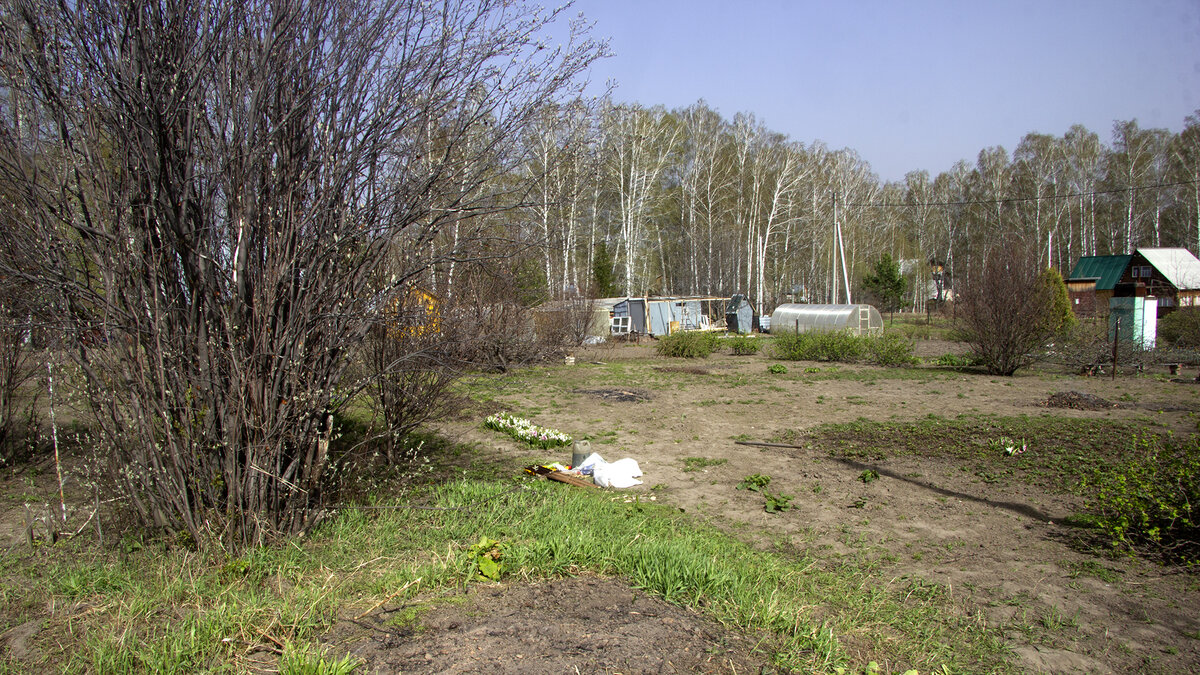 Общий вид на участок со стороны будущей парковки.