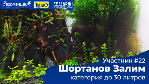 Аквариум 10 л.Участник №22 в категории до 30 литров #Scalariki​​​ Aquascaping Contest 2021