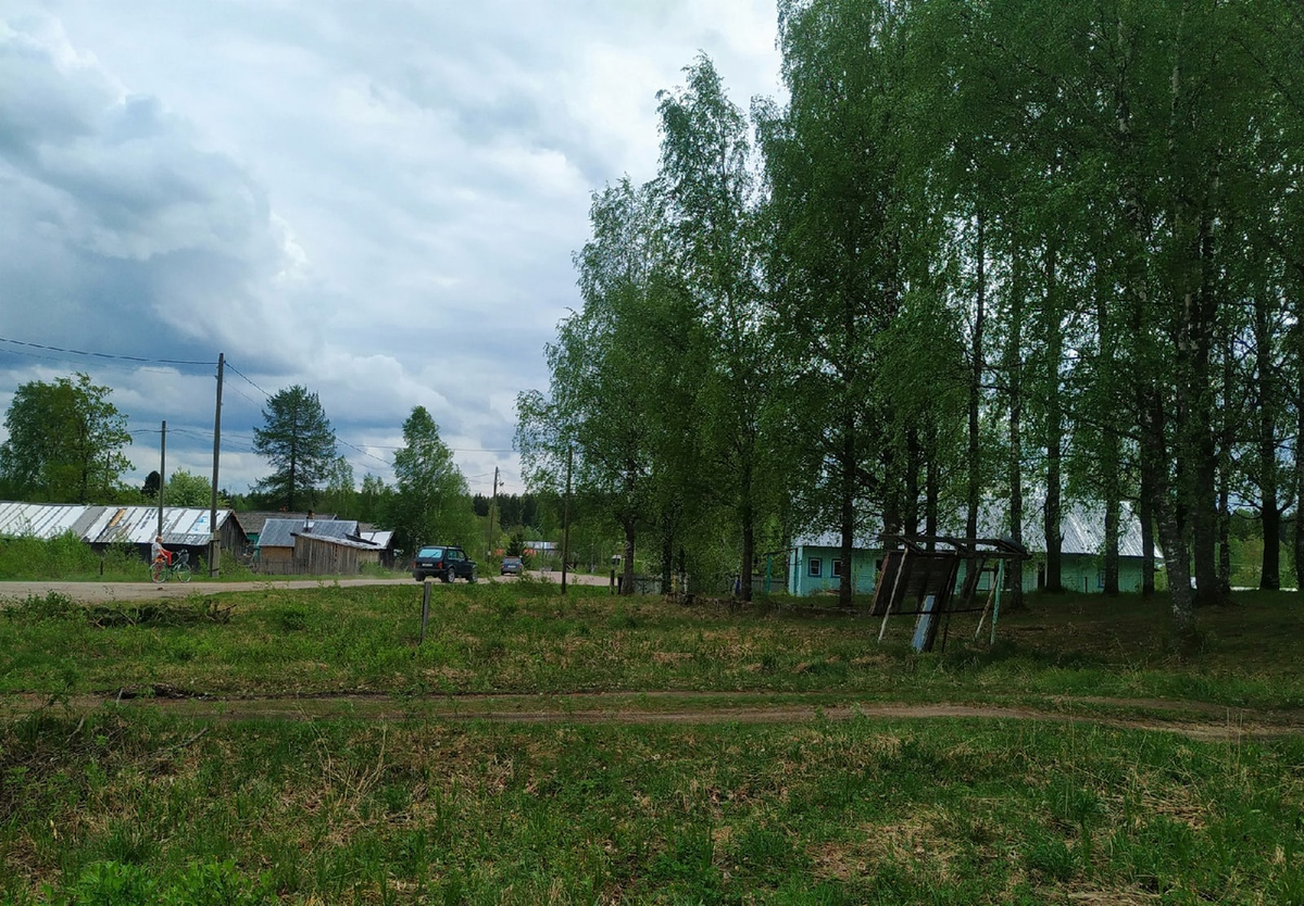 Кривцы карелия пудожский. Кривцы Карелия. Карельского поселка Кривцы. Кривец Кадуйский район. Кривцы (посёлок, Карелия)