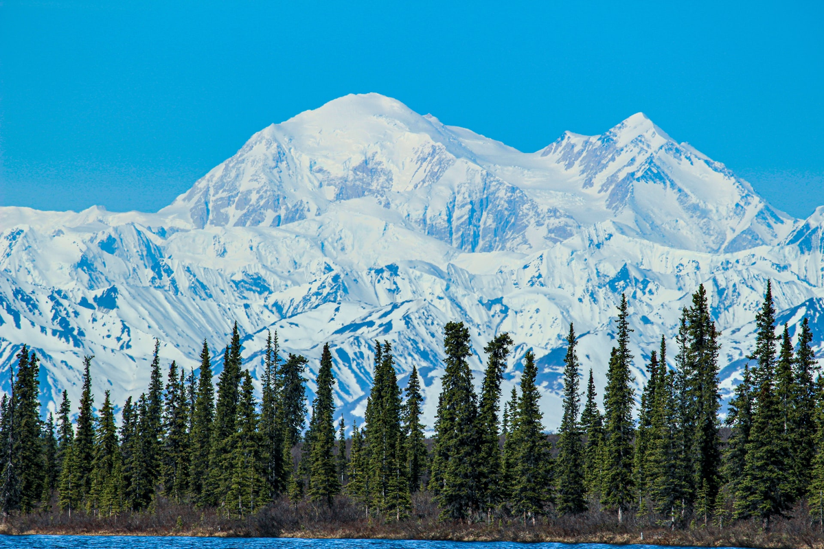 Фото: Bryson Beaver / Unsplash
