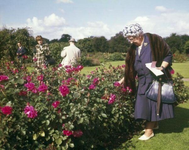 Розы, камелии, магнолии и другая любовь А.Кристи