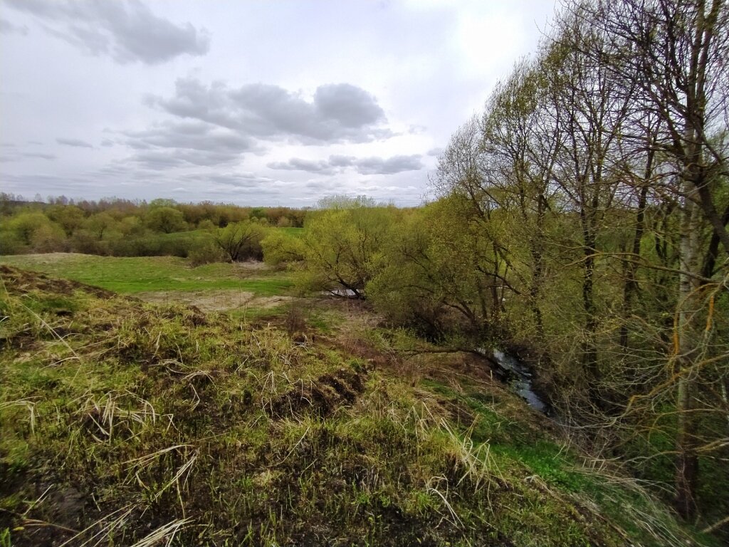 центр городище. центр городище. городище центр города украина. курганы волотовки. гнёздовские курганы смоленская.