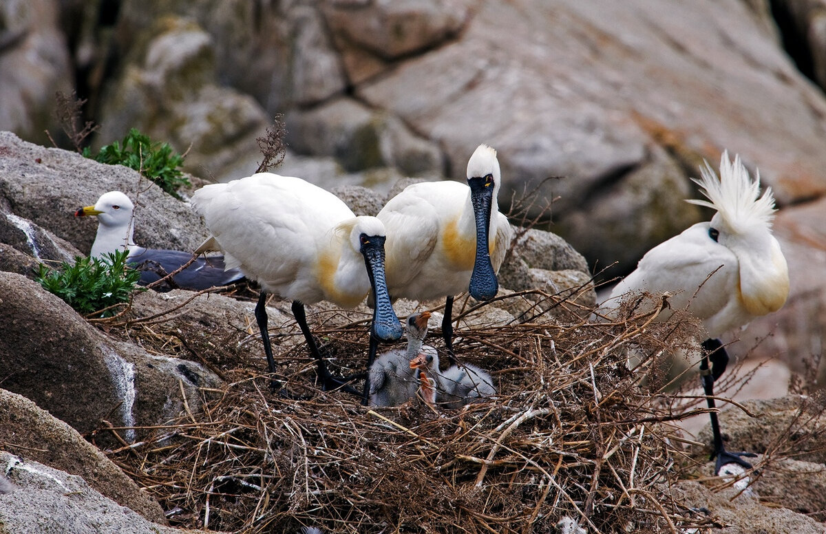 Фото: А. Ратников