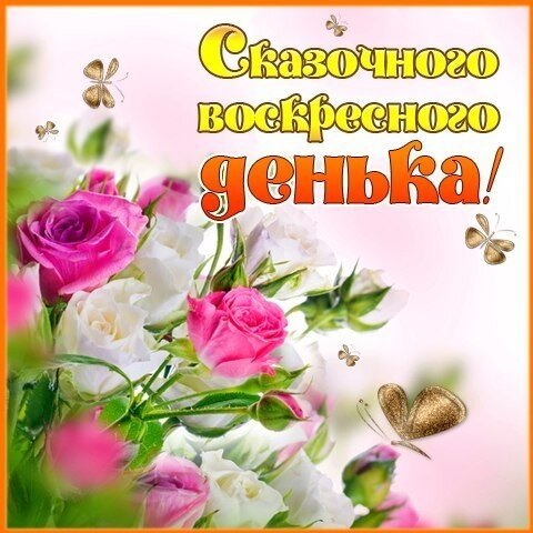 #пожелания и поздравления #смс хорошего дня #пожелания любимому