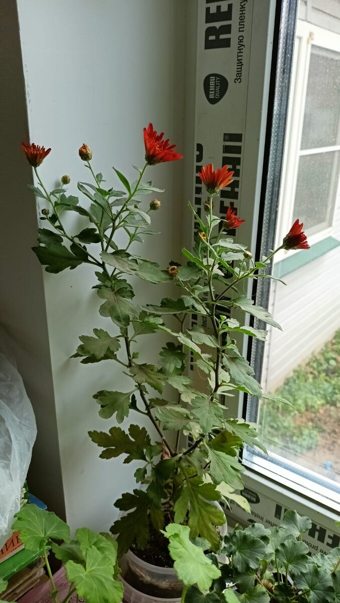 6 ноября 2022 года. 