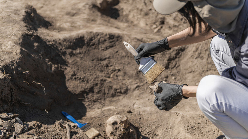   Gettyimages.ru Stevica Mrdja / EyeEm
