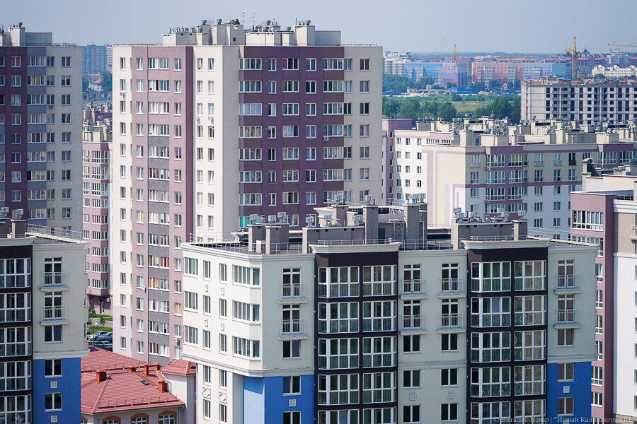 Фото: Виталий Невар / Новый Калининград
