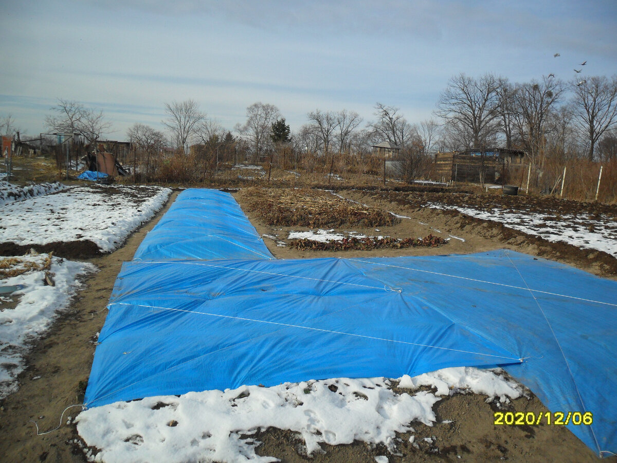 Закрытие дачного сезона 2020 года