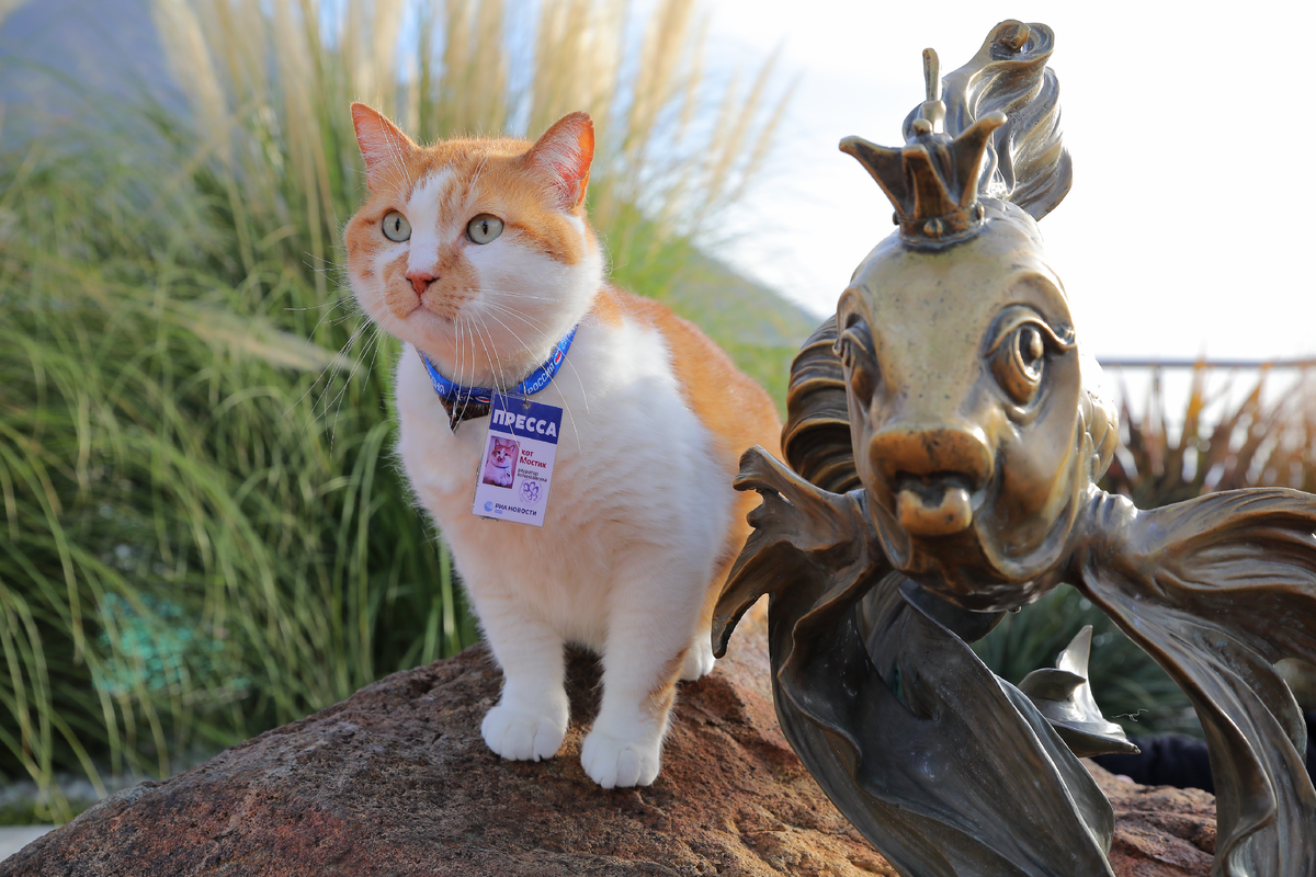 «Артек», встречай! 