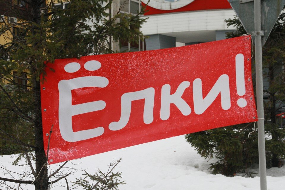     Елочные базары будут работать без выходных и перерывов Олег УКЛАДОВ