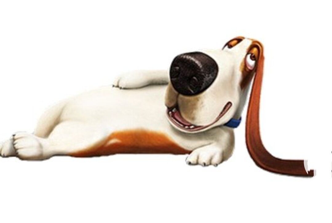 Из интернета