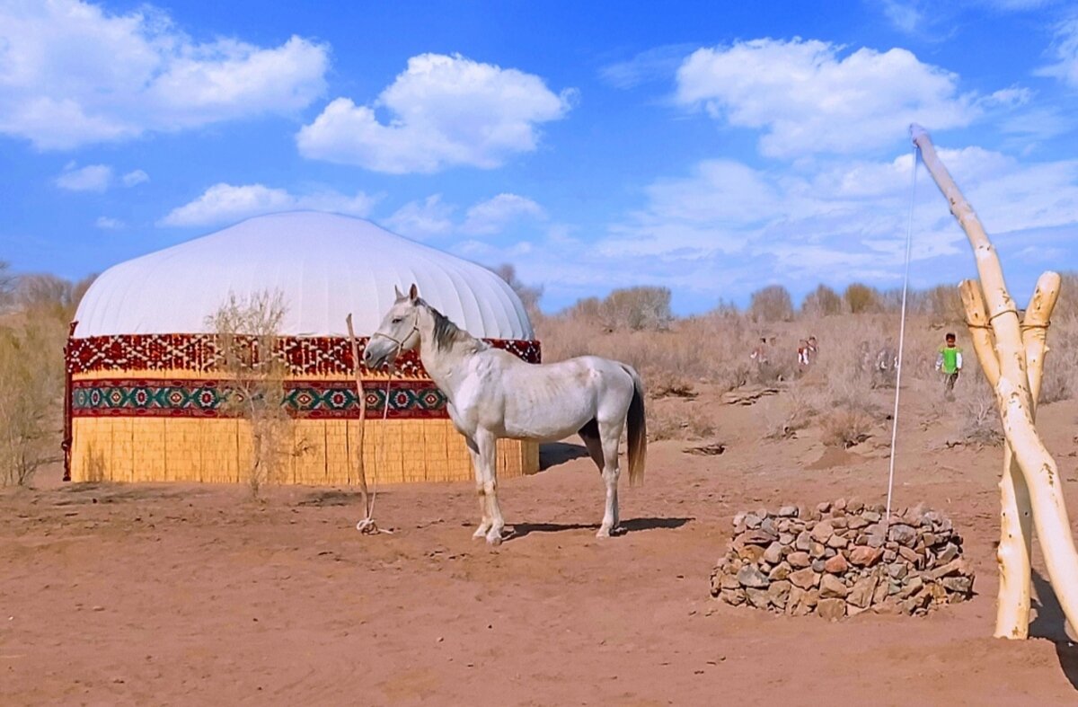 «Осень в пустыне». Хамраев Бекхан, Дашогуз, Туркменистан. Категория: от 7 до 9 лет