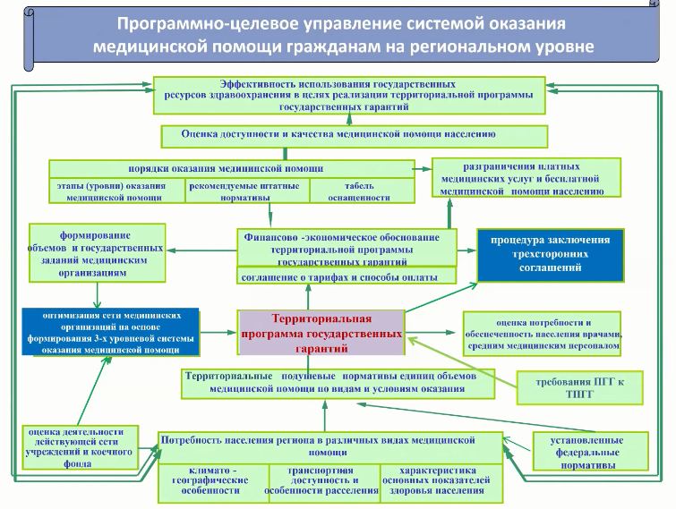 Схема управления системой здравоохранения. Принципы целевого управления. Программно-целевое планирование схема. Структурно-организационная модель ранней помощи.